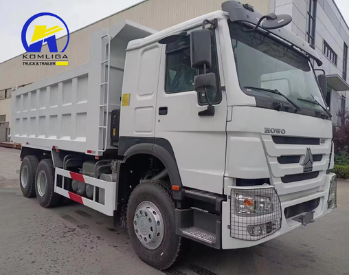 16tons Loading Capacity Rear Axle 10 Tyres 6X4 HOWO Dump Truck for Techinical Support