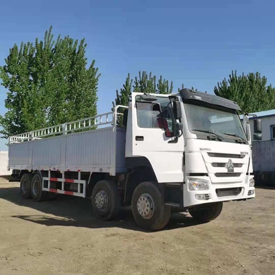 Africa Market Flatbed Cargo Truck with Manual Transmission and One Sleeper Cab