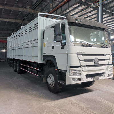 Sinotruk HOWO Cargo Truck with ECE Tire Certification and Wly6t46 Transmission