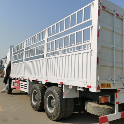 Sinotruk HOWO Cargo Truck with ECE Tire Certification and Wly6t46 Transmission
