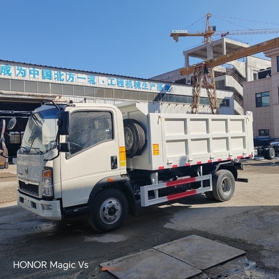 4X2 Light Cargo/Dump Truck for Africa LHD/RHD Driving Style ECE Tire Certification