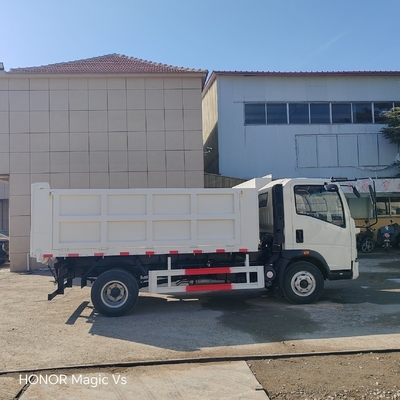 4X2 Light Cargo/Dump Truck for Africa LHD/RHD Driving Style ECE Tire Certification