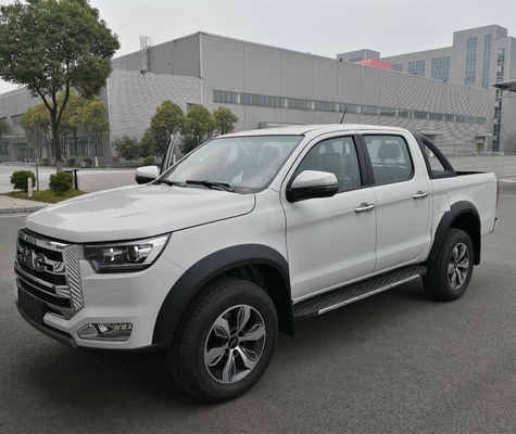 JAC Mini Diesel Gasoline 4X4/4X2 PickUp Truck for Customer Requirements