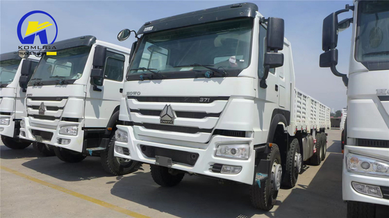 Radial Tires Sinotruk HOWO Truck 8X4 12 Wheels 20t 30t Cargo Lorry Truck for Delivery